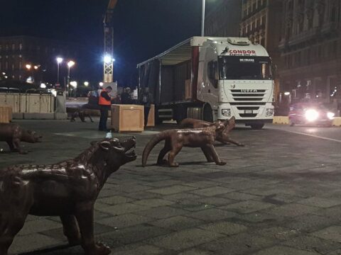 Con il contributo di Condor Express Line, 100 grandi lupi hanno invaso la piazza del Municipio di Napoli.